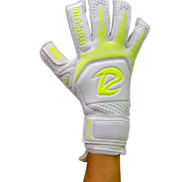 NEO PRO 2025 HYBRID