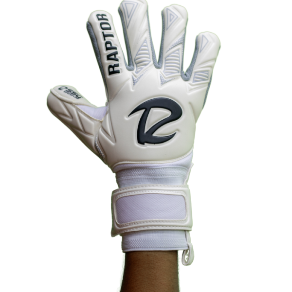START PRO 2025 NEGATIVE